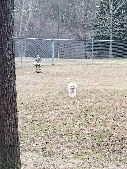 South Fulton Dog Park: Canine Crossing 10