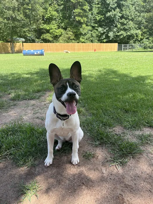 South Fulton Dog Park: Canine Crossing 9