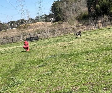 City of Morrow dog park