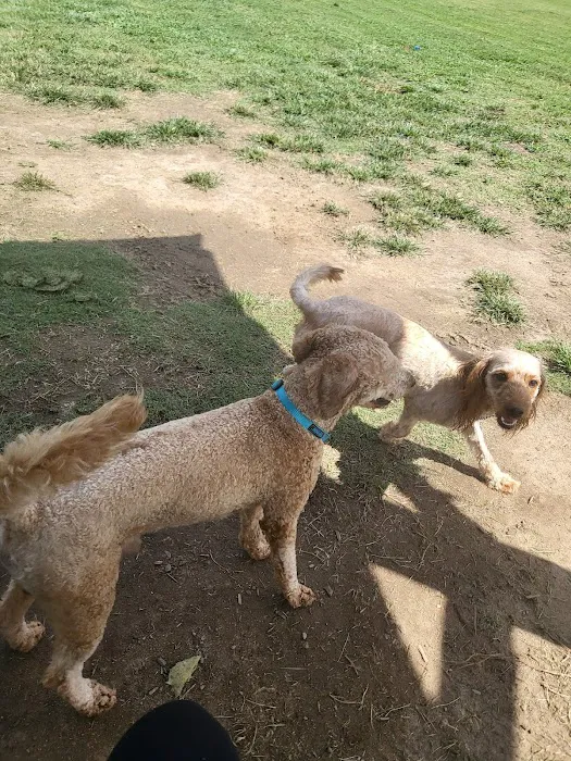 City of Morrow dog park 3