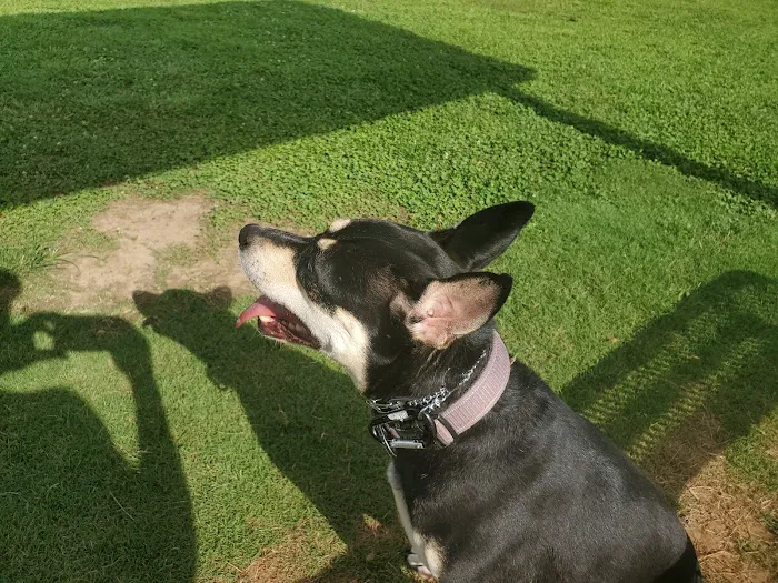 City of Morrow dog park 7