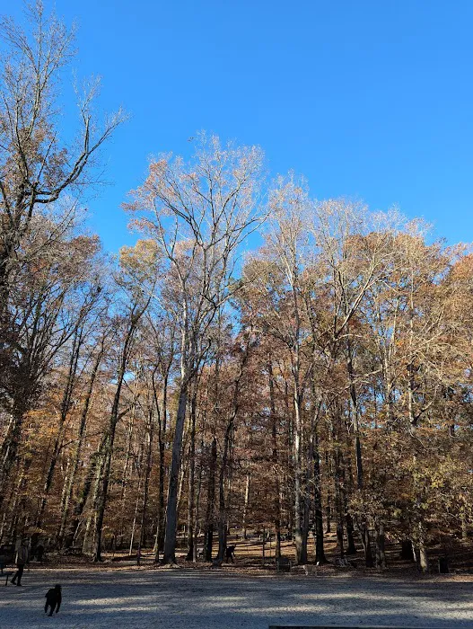 Brook Run Dog Park 1