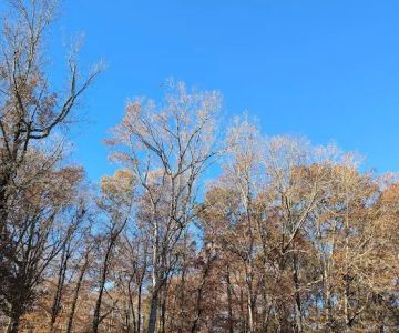Brook Run Dog Park