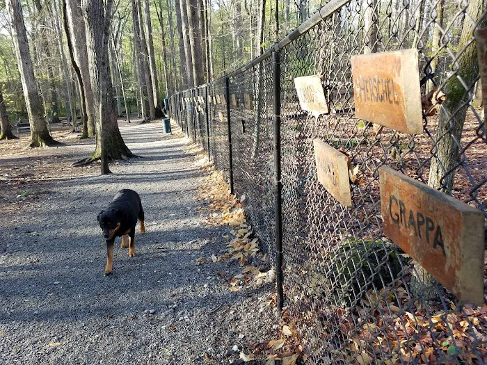 Brook Run Dog Park 2