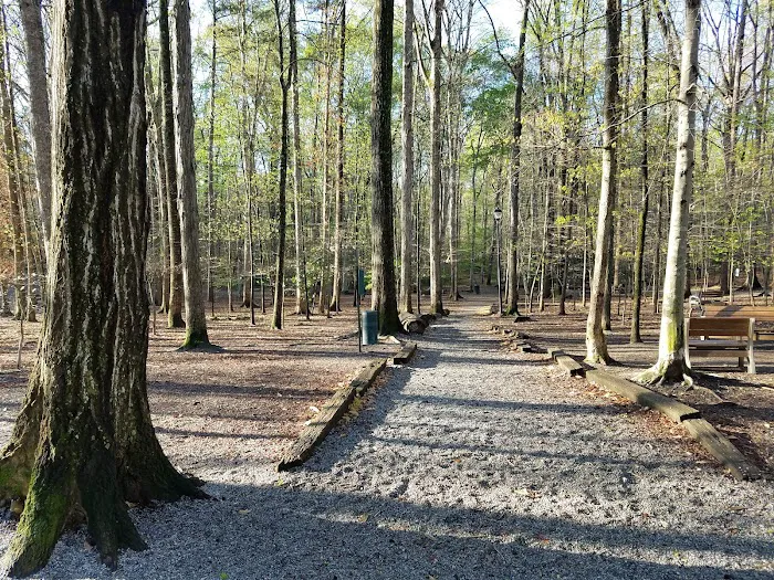 Brook Run Dog Park 8
