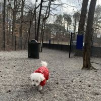 Brook Run Dog Park ico