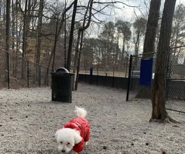 Brook Run Dog Park