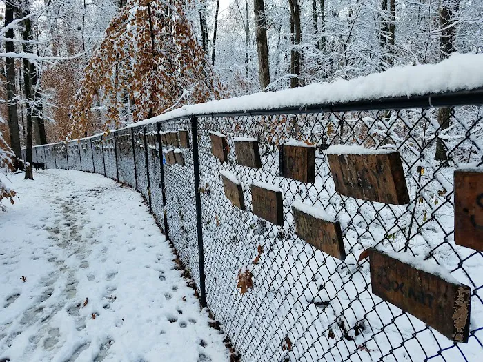 Brook Run Dog Park 9