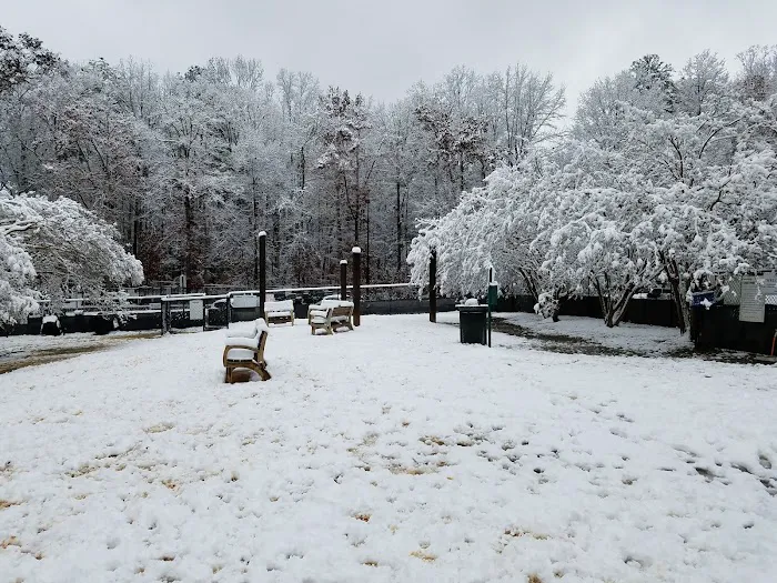 Brook Run Dog Park 5