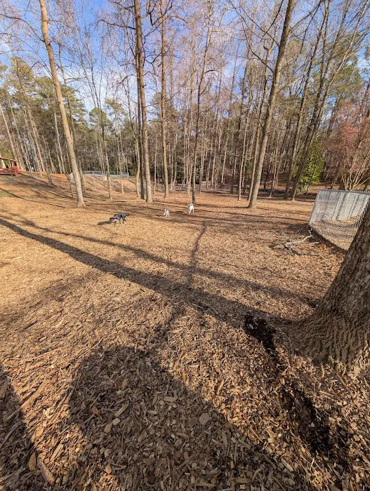 Wildwood Dog Park 6