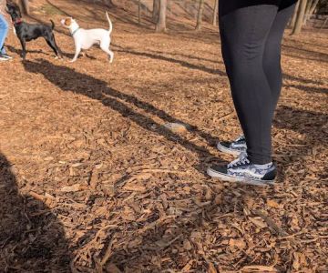 Wildwood Dog Park