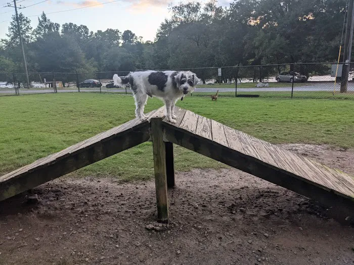 Morgan Falls River Park / Dog Park 8