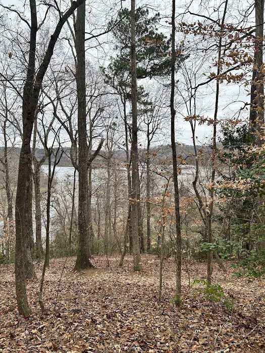Morgan Falls River Park / Dog Park 10