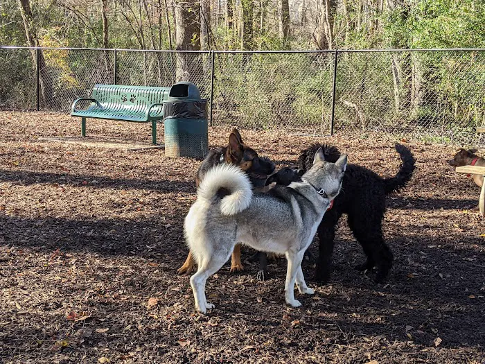 Sweat Mountain Dog Park 2