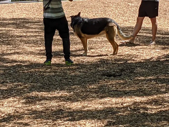 Sweat Mountain Dog Park 6