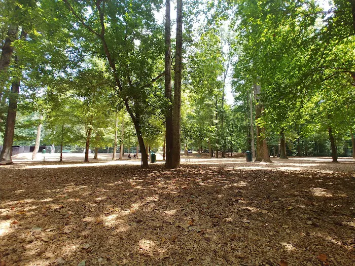 Sweat Mountain Dog Park 5