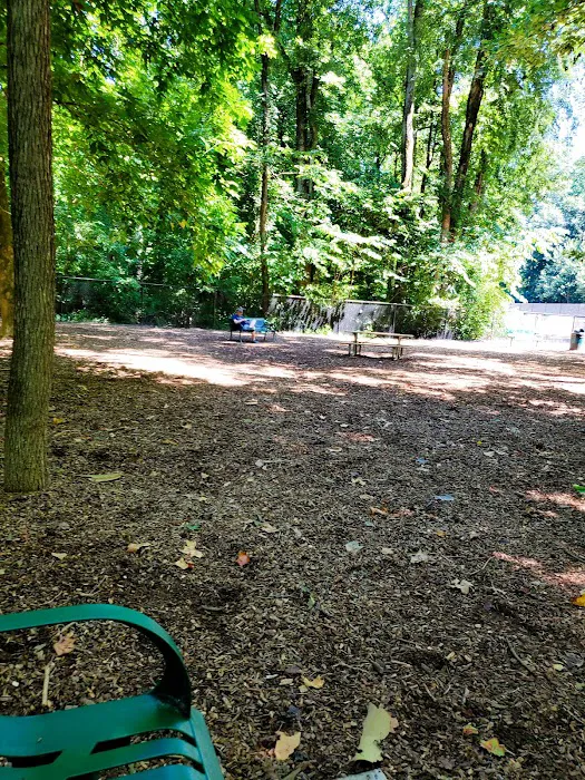 Sweat Mountain Dog Park 7