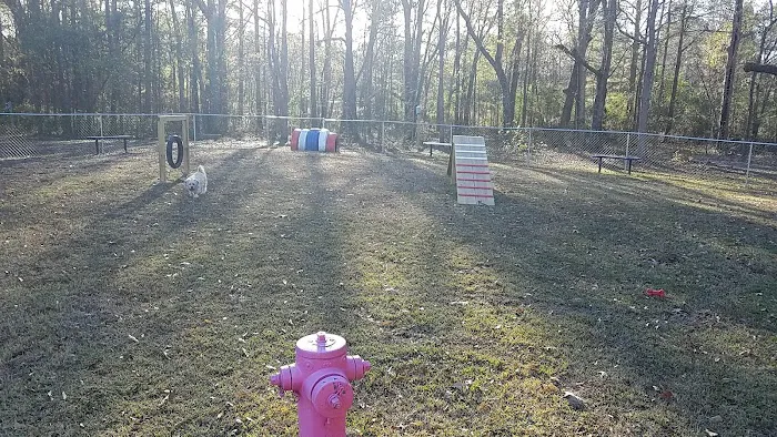 Fabon Brown Park 7