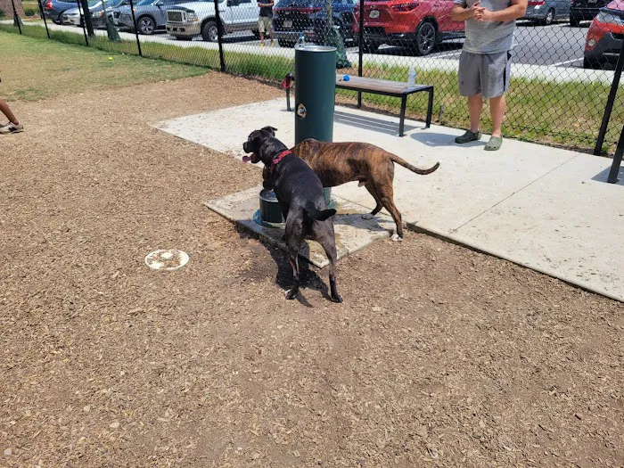 City of Fayetteville Dog Park 2