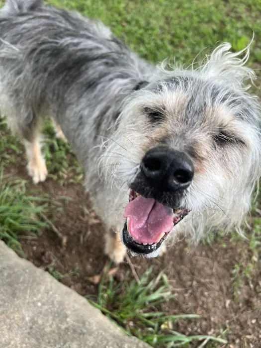 City of Fayetteville Dog Park 10