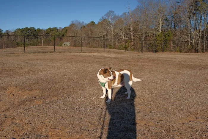 Deer Lick Dog Park 9
