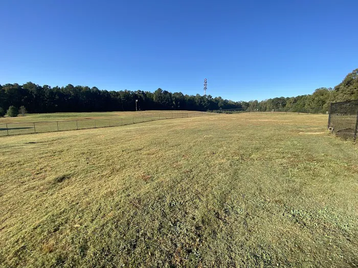 Deer Lick Dog Park 2