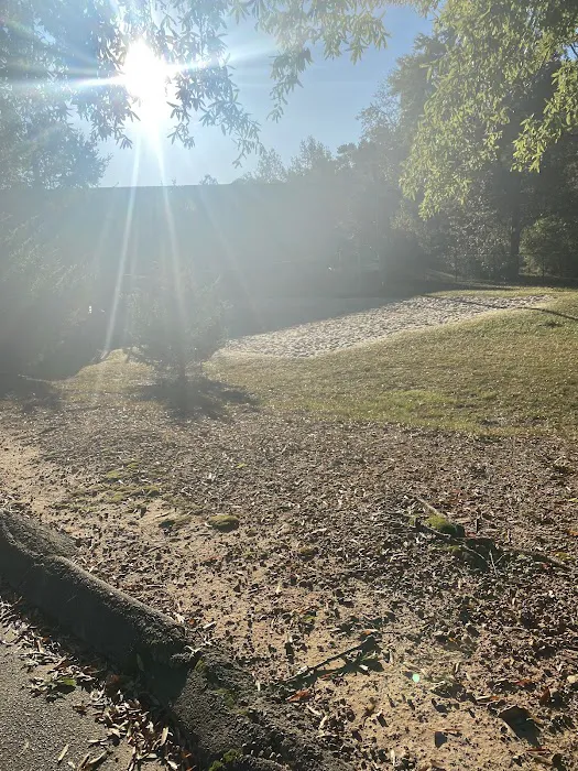 Deer Lick Dog Park 3