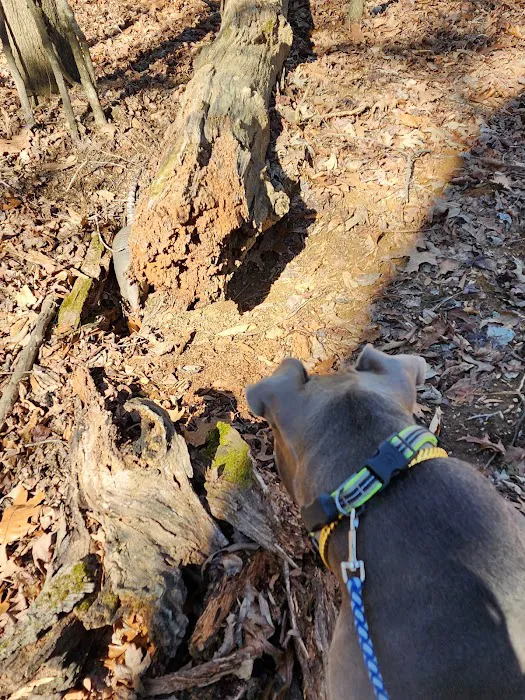 Deer Lick Dog Park 1