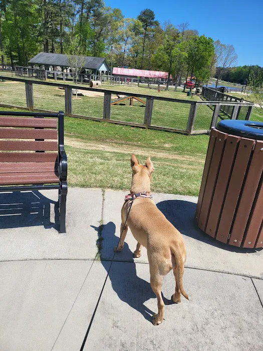 Bark Park - International Park 3