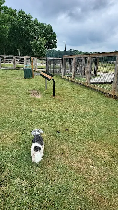 Bark Park - International Park 2