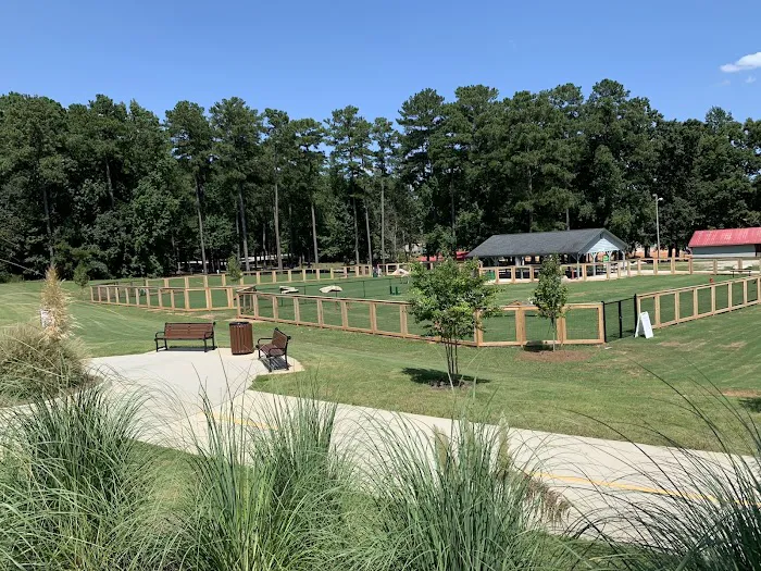 Bark Park - International Park 6
