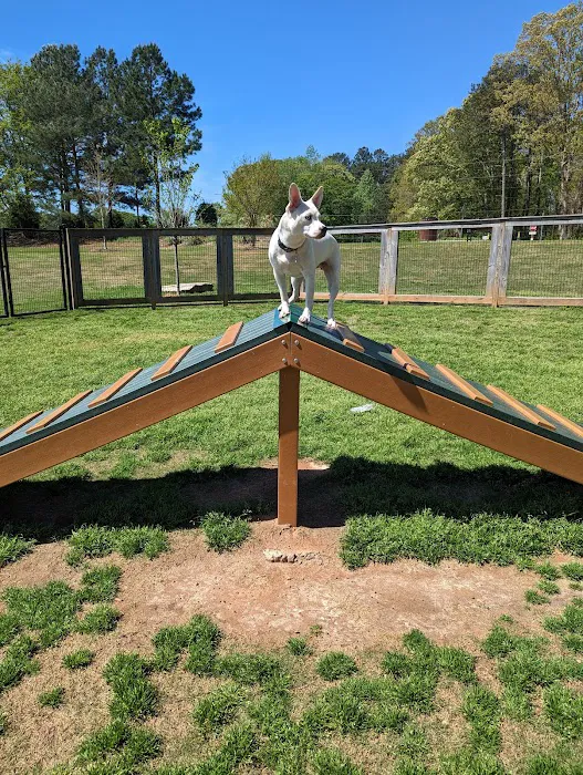 Bark Park - International Park 7