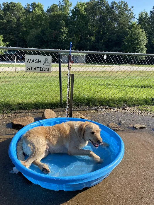 Dog park 5