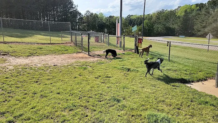 Dog park 7