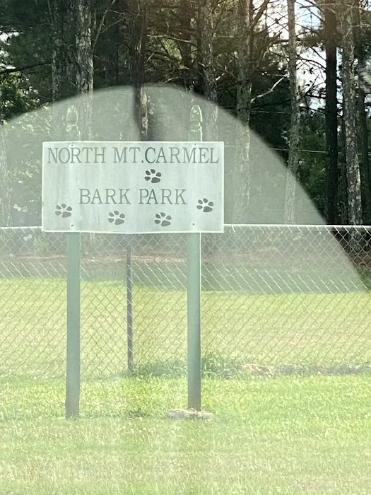 Dog park 4