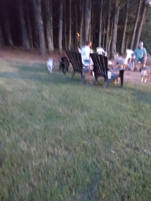 Dog park 2