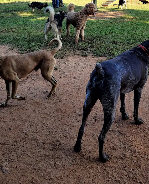 Richardson Dog Park 2