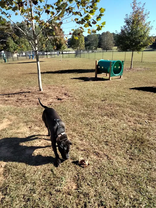 Richardson Dog Park 5