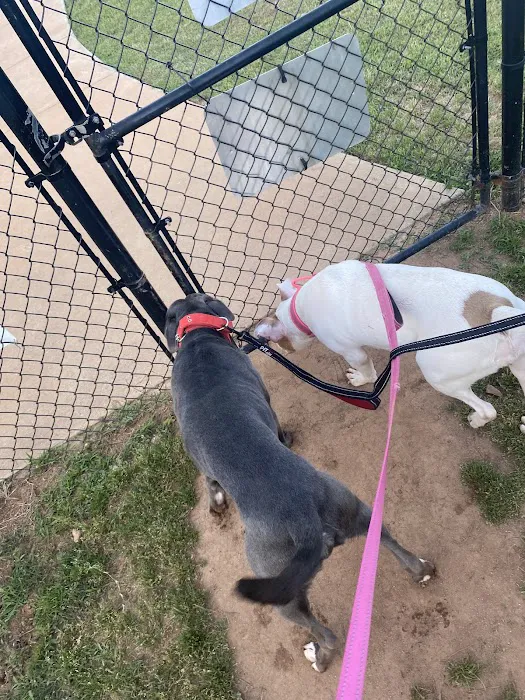 Richardson Dog Park 10