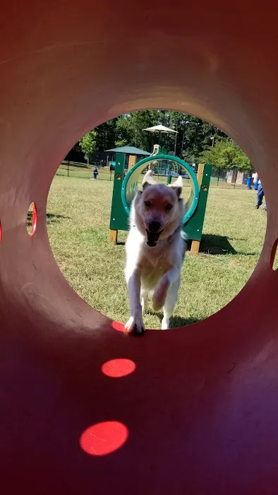Richardson Dog Park 9