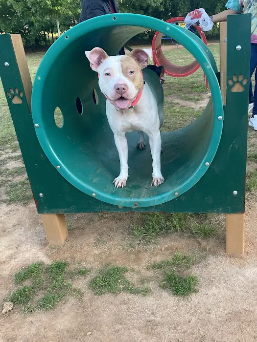 Richardson Dog Park 6