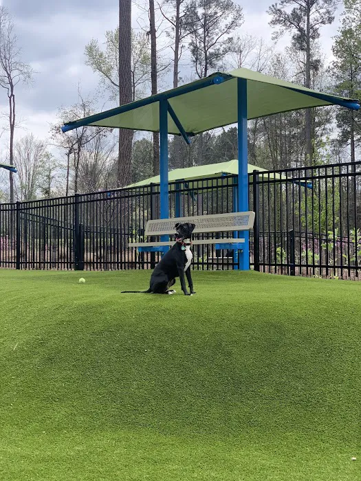 Town Center Dog Park 5
