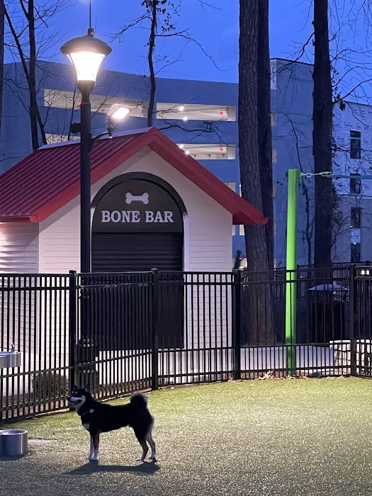 Town Center Dog Park 8