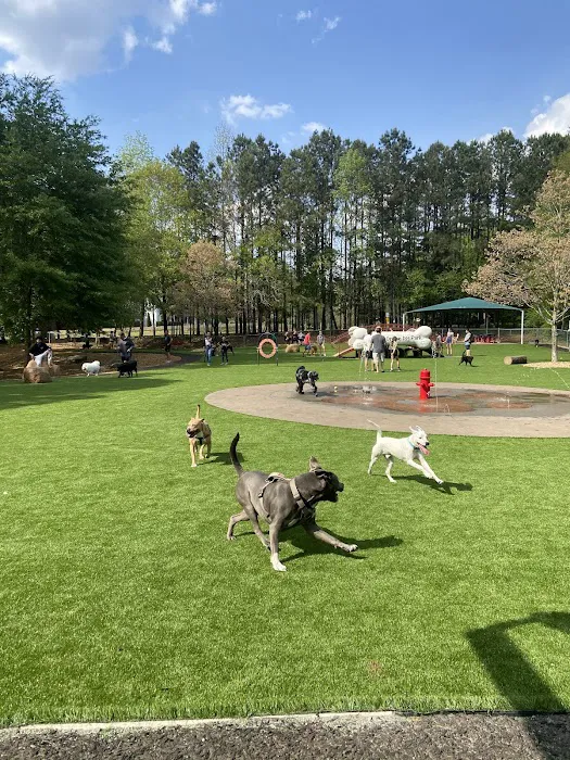 Newtown Dream Dog Park 1