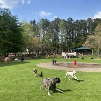Newtown Dream Dog Park ico