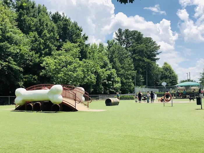 Newtown Dream Dog Park 10