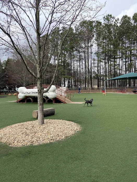 Newtown Dream Dog Park 4