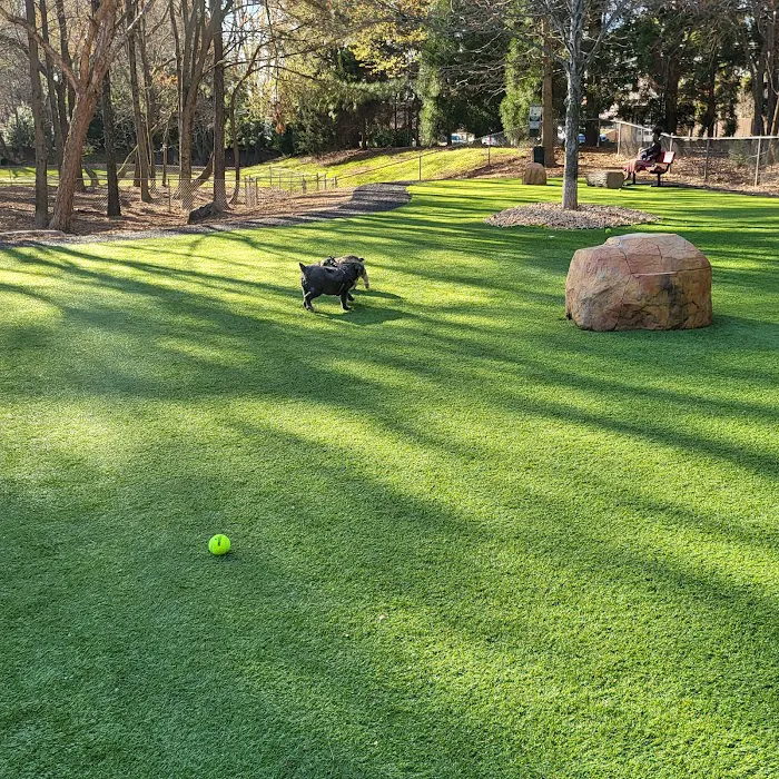 Newtown Dream Dog Park 9