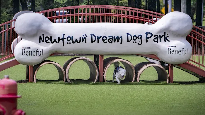 Newtown Dream Dog Park 3