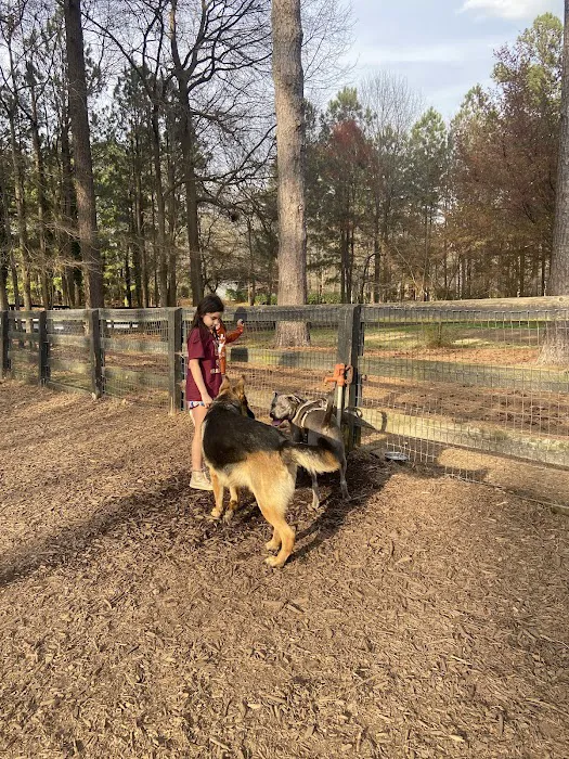 Waggy World Paw Park 1